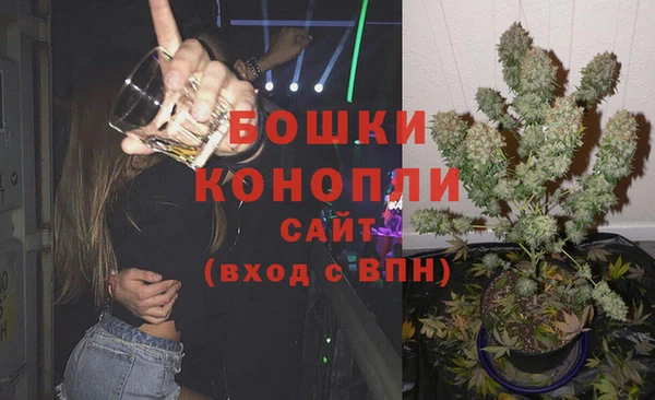 винт Богданович